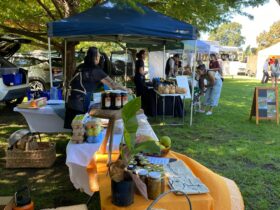 Sapphire Farmers Market