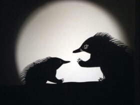 Two shadow echidna puppets