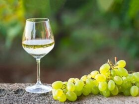 Shoalhaven wine appreciation