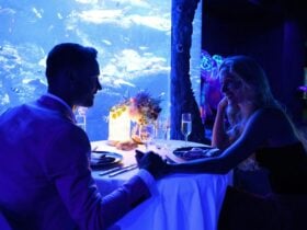 Diners at SEA LIFE Sydney Aquarium clinking glasses