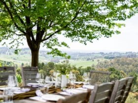 Macquariedale Wines