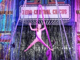 aerial silks lyra circus performance school workshops classes southern highlands mittagong
