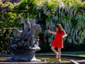 Norman Lindsay Gallery