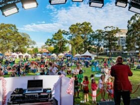 Families watching the stage at the St Marys Christmas Carols & Markets in 2024.