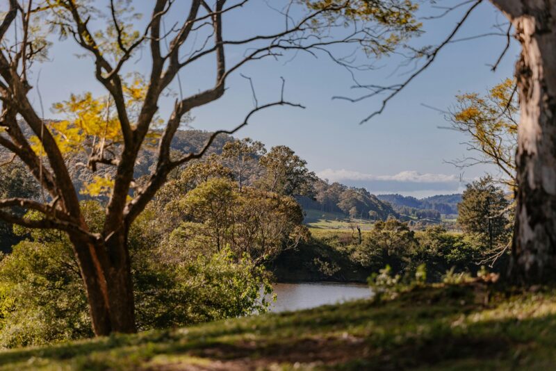 The River