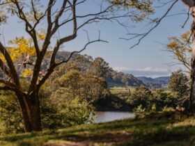 The River