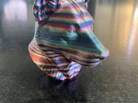 Example of a participant