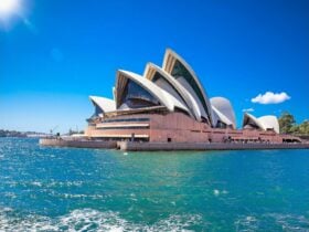 Sydney Harbour Lunch Cruise