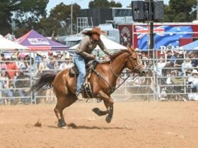 A lady barrel racer flying across the sand