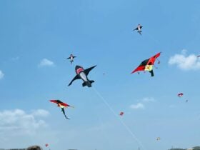 Sydneyâs Kite Flying Festival 2026