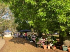 Several market stalls under green leafy trees