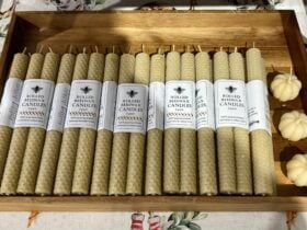 A bundle of tapers made by rolling beeswax foundation