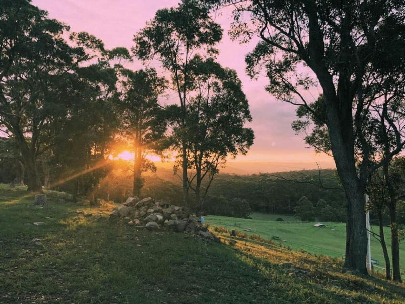 Martins Ridge Farm