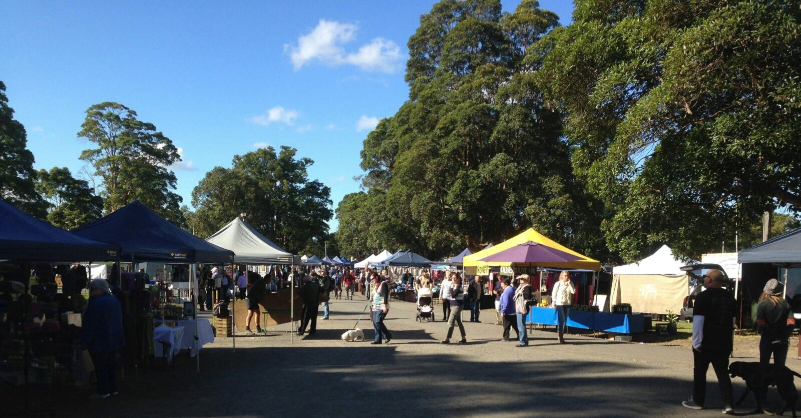 The Berry Markets