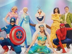 THE ENCHANTED ADVENTURE