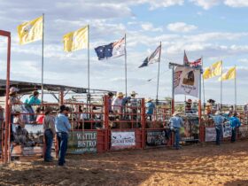 Cowboys getting ready to ride