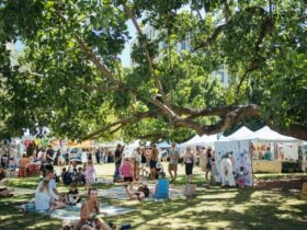 Photo shows image of market attendees browsing stalls and sitting under the beautiful trees