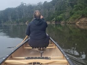 The back of a woman sat in a canoe, canoeing down the river