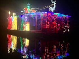 Starboard side lights