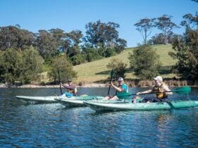 Three guests in green kayaks paddling on a calm lake with rolling hills and a clear blue sky.