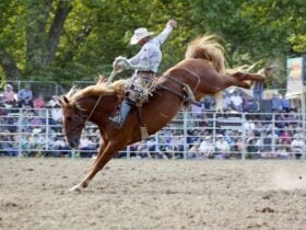 Brad Pierce on Slippery Customer