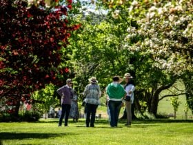 Country Garden