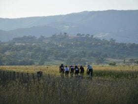 A group of riders, just outside Tumut, in the Snowy Valleys NSW