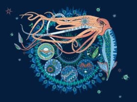 A giant squid over the five zones of the ocean