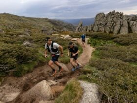 Runner on trail