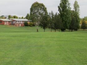 Outside on the fairway