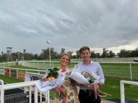 Xmas Party Races