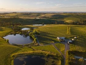 Nashdale Lane Wines