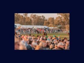 Wagga Gold Cup