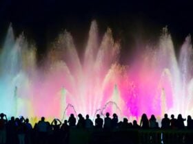 Water Show