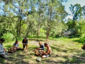 Wildcraft Australia activities