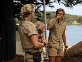 Two girls holding a wombat