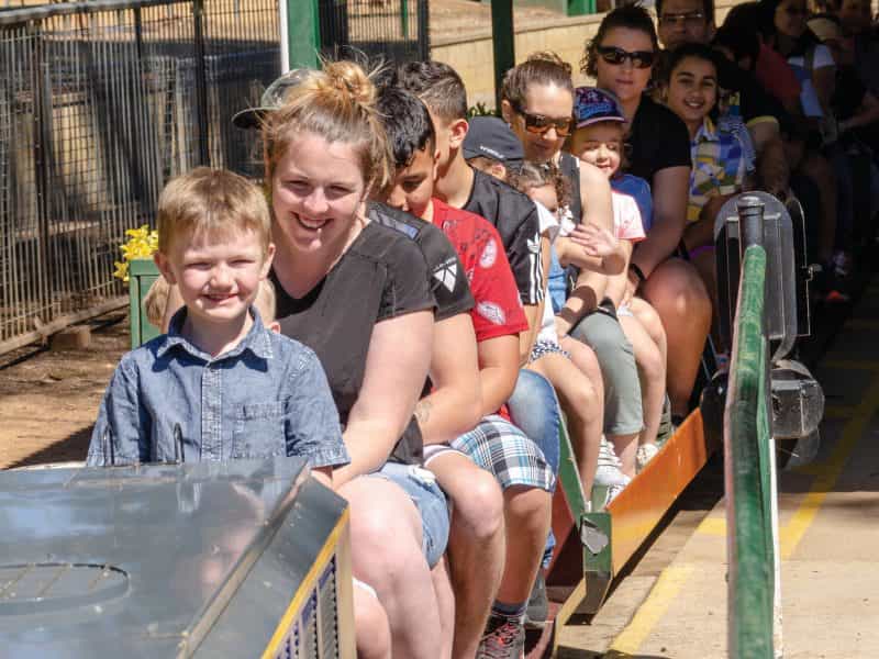 Willans Hill Miniature Railway Rides