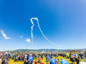 The crowd enjoying flying displays at Wings Over Shellharbour