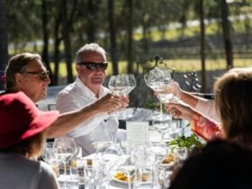 Guests "Cheers" at lunch on a sunnay day at Winmark Wines