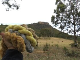 Handful of naturally dyed yarn skeins in front of escarpment and trees.