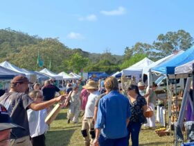 wollombi maket days