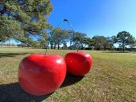 Cherry icon