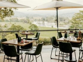 View from dining room Apex