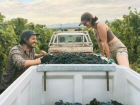 Tony and Maddie in Tumblong Hills Vineyard