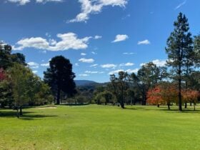 Golf course 1