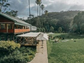 Cafe at grass level and the dance hall verandah overlooking the grass area out front