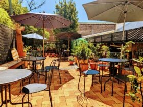 Sunny outdoor courtyard with chairs and shade umbrellas