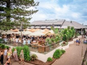 Beer Garden Beach Hotel Byron Bay