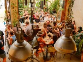 Social Brewery Scene