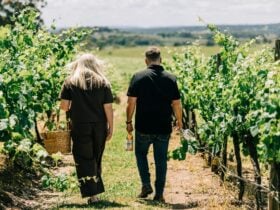 walking through the vines